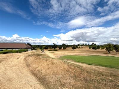 Picture 25